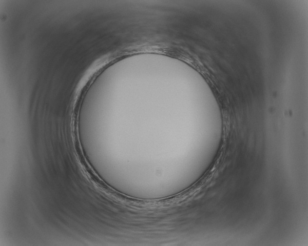 X0000078890006200611131041