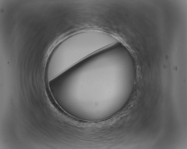 X0000078890007200611131041