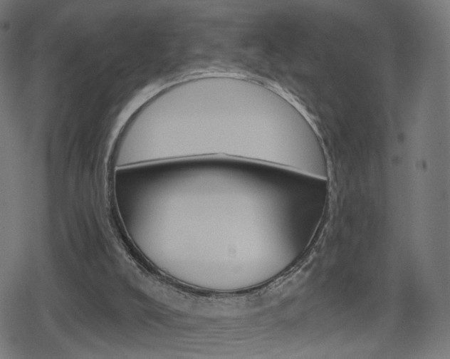 X0000078890008200611131041