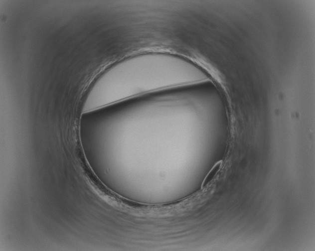 X0000078890009200611131041