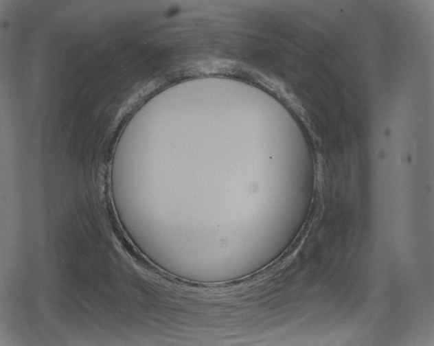 X0000078890010200611131041