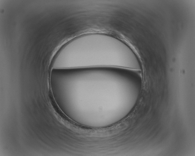 X0000078890011200611131041