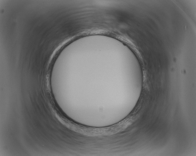 X0000078890012200611131041