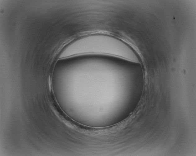 X0000078890013200611131041