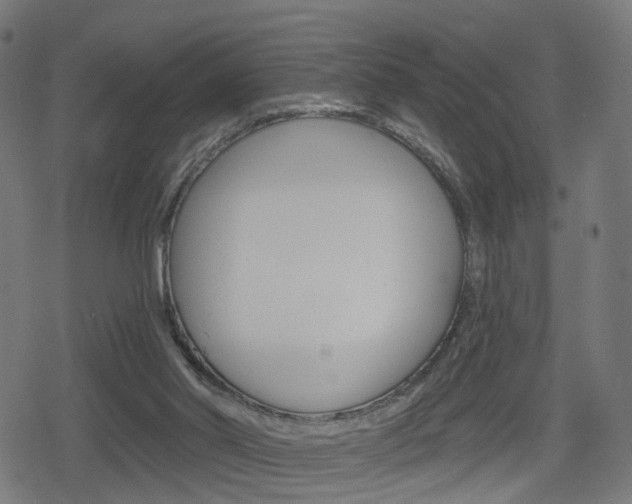 X0000078890014200611131041