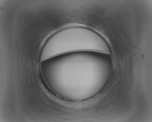 X0000078890015200611131041