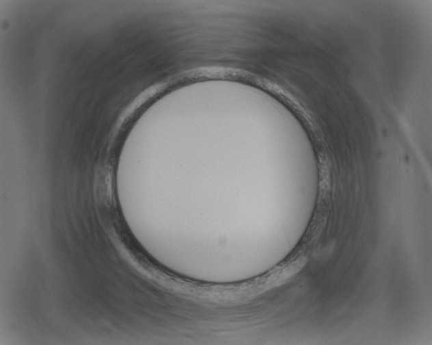 X0000078890016200611131041