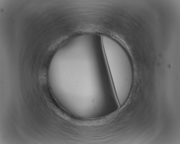 X0000078890017200611131041