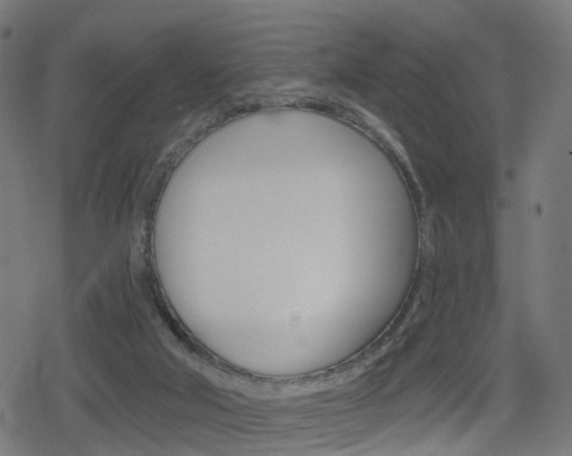 X0000078890018200611131041