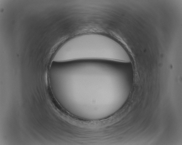 X0000078890019200611131041