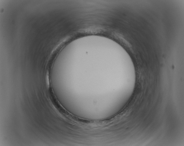 X0000078890020200611131041