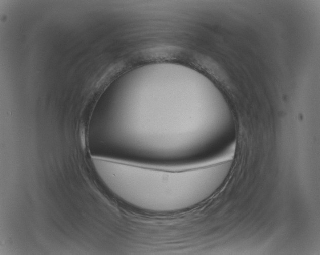 X0000078890021200611131041