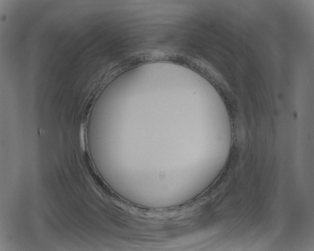 X0000078890022200611131041