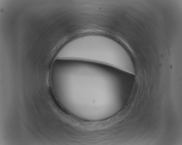 X0000078890023200611131041