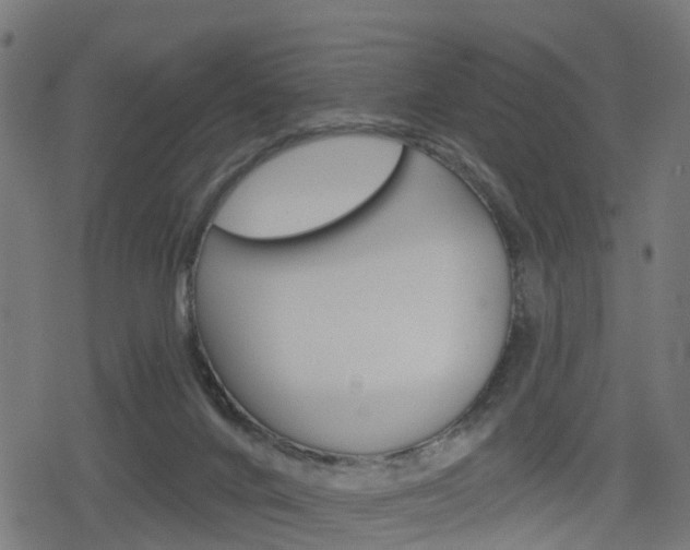 X0000078890024200611131041