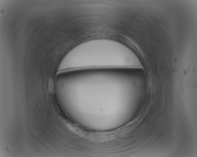 X0000078890025200611131041