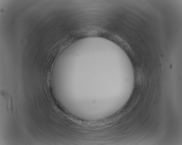 X0000078890026200611131041