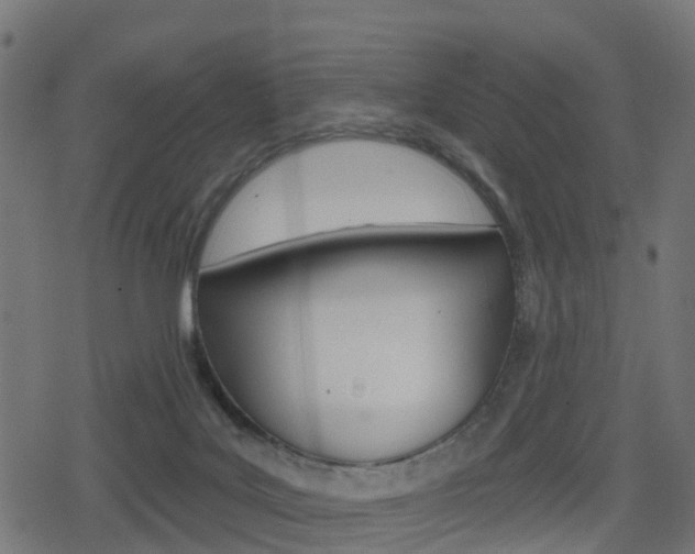 X0000078890027200611131041