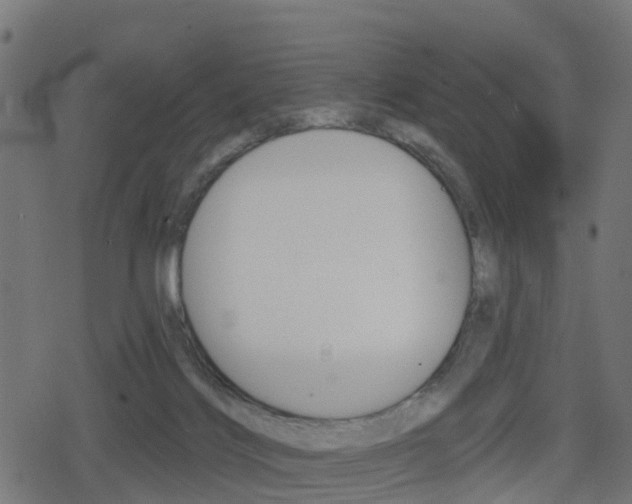 X0000078890028200611131041