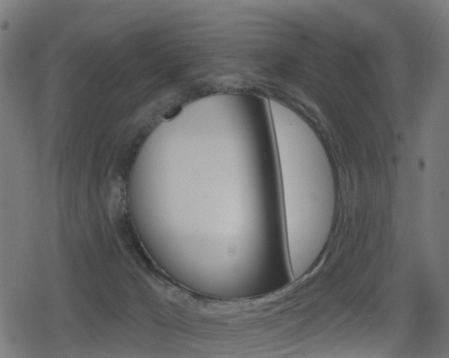 X0000078890029200611131041