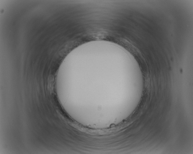 X0000078890030200611131041