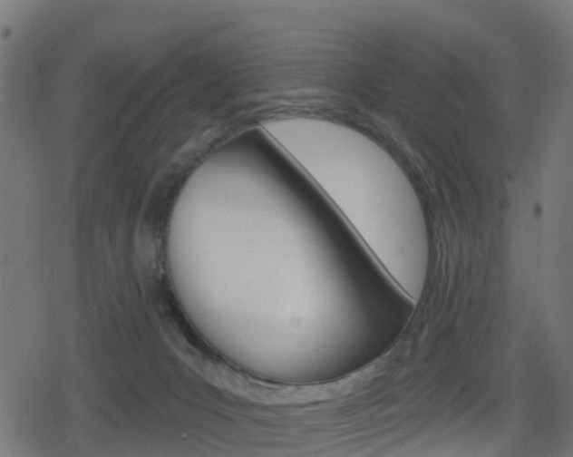 X0000078890031200611131041