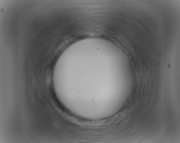 X0000078890032200611131041