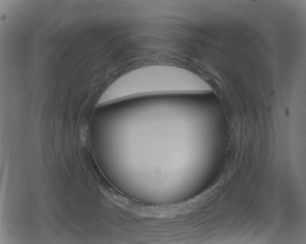 X0000078890033200611131041