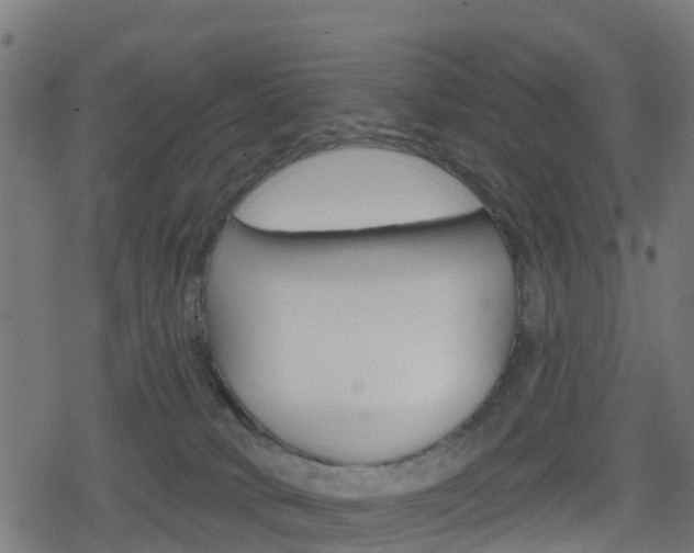 X0000078890034200611131041