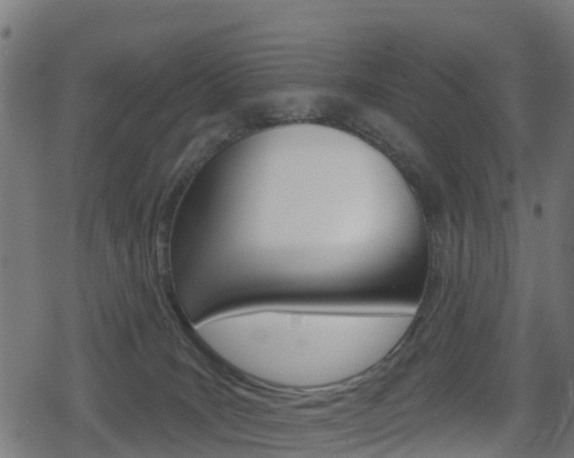 X0000078890035200611131041