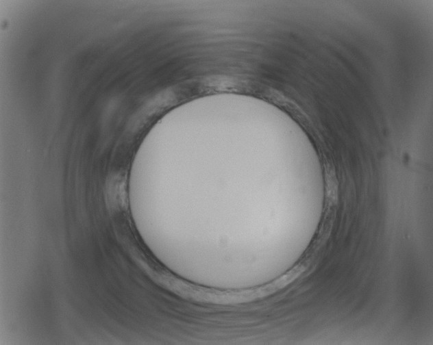 X0000078890036200611131041