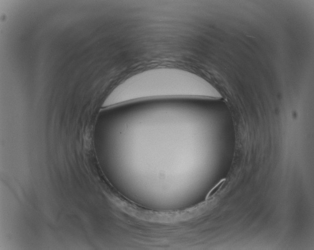 X0000078890037200611131041