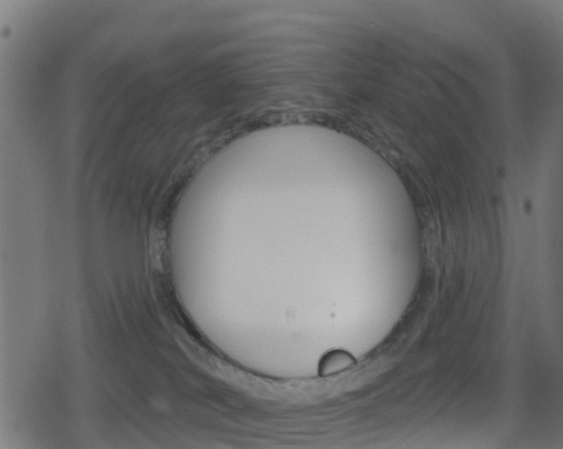 X0000078890038200611131041