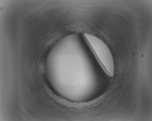 X0000078890039200611131041