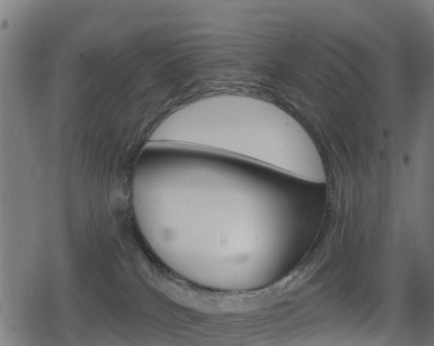 X0000078890040200611131041