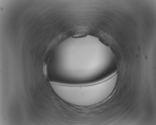 X0000078890041200611131041