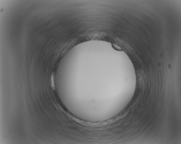 X0000078890042200611131041