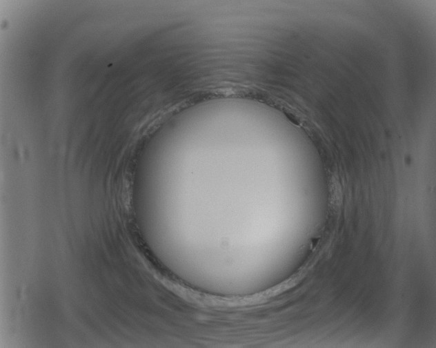 X0000078890043200611131041