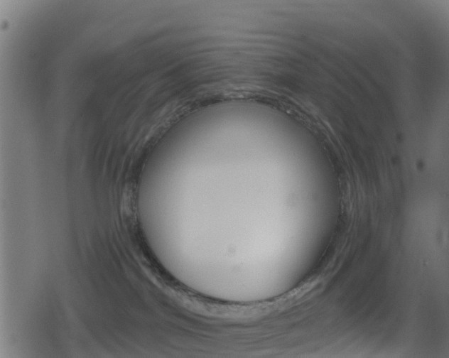 X0000078890044200611131041