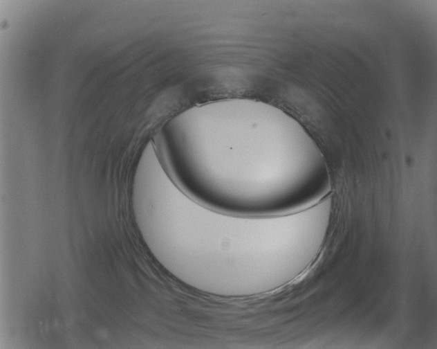 X0000078890045200611131041