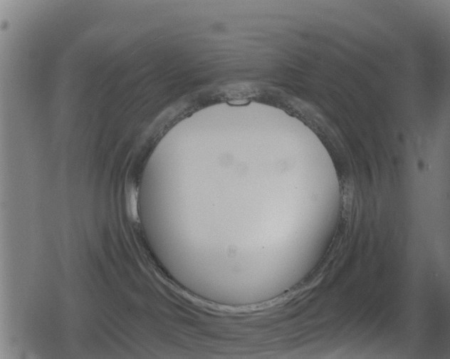 X0000078890046200611131041