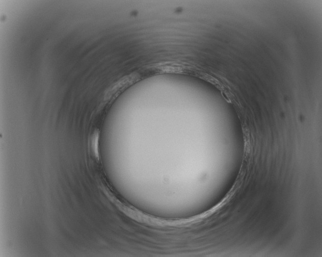 X0000078890047200611131041