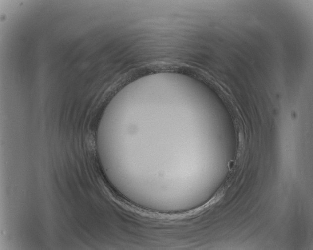 X0000078890048200611131041