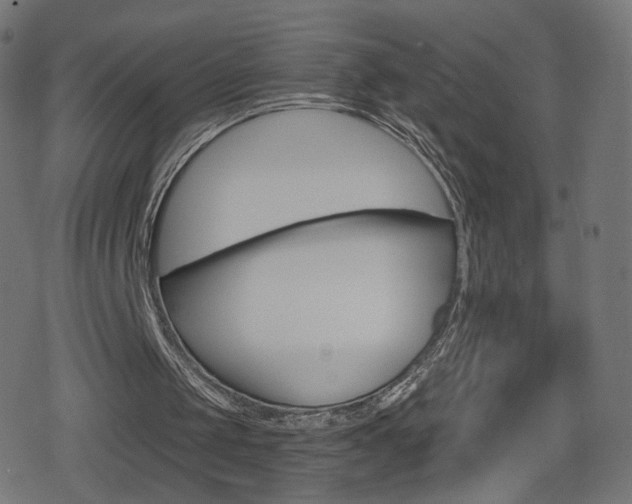 X0000078890049200611131040