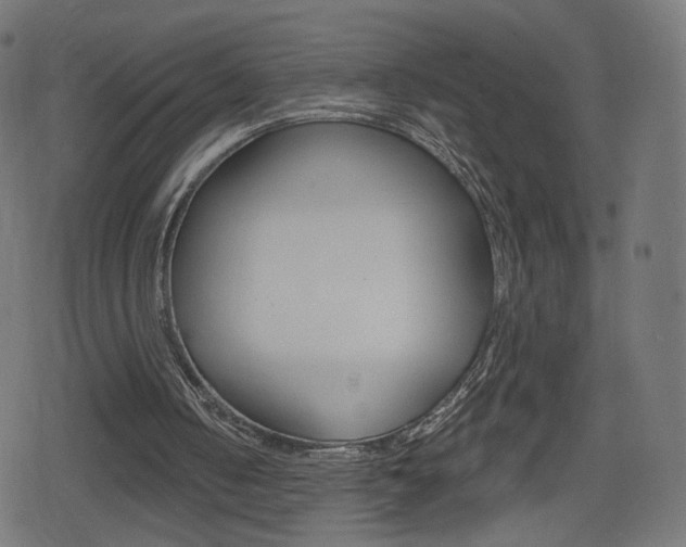 X0000078890050200611131040