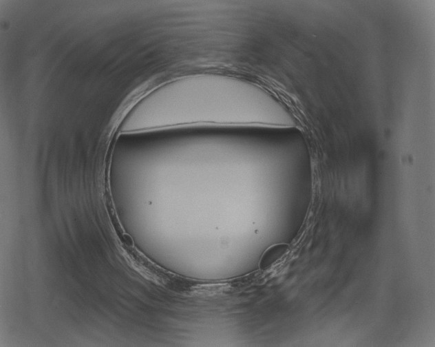 X0000078890051200611131040