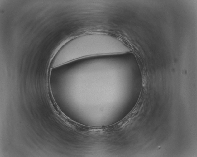 X0000078890052200611131040