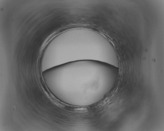 X0000078890053200611131040