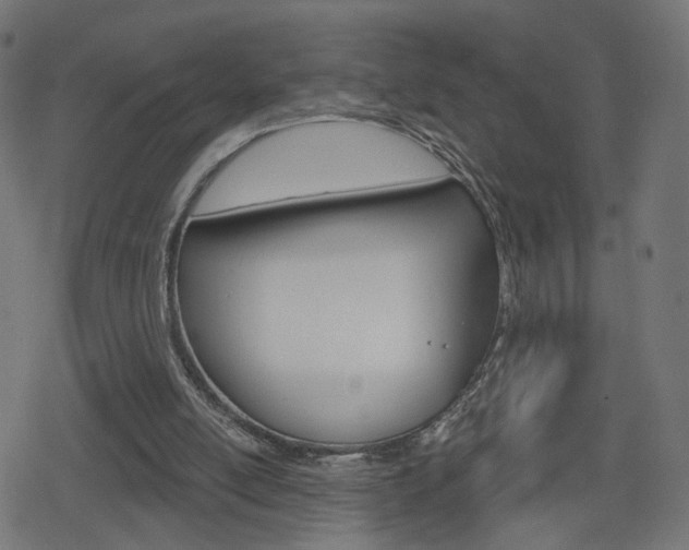 X0000078890054200611131040