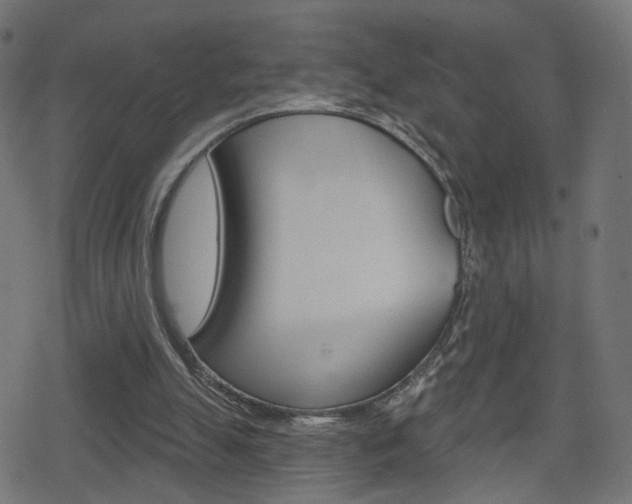 X0000078890055200611131040